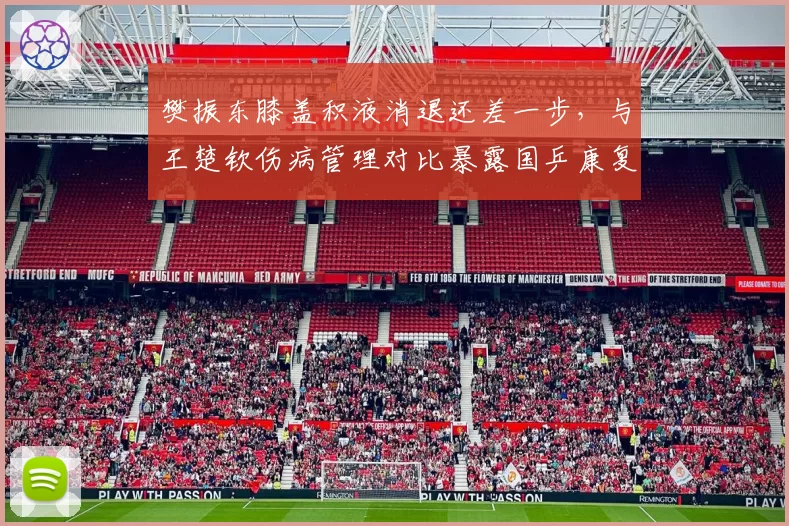 樊振东膝盖积液消退还差一步，与王楚钦伤病管理对比暴露国乒康复体系差异