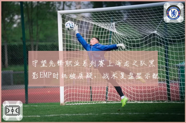 守望先锋职业系列赛上海龙之队黑影EMP时机被质疑，战术复盘显示配合脱节