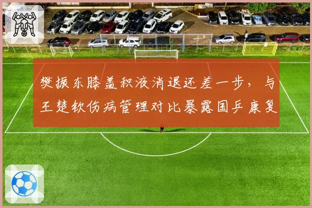 樊振东膝盖积液消退还差一步，与王楚钦伤病管理对比暴露国乒康复体系差异